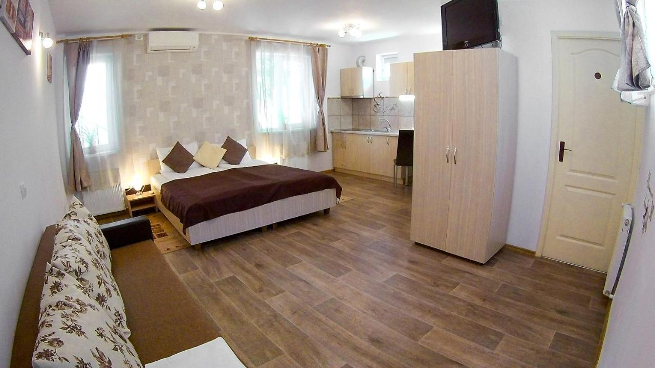 Nice & Cozy Apartments ティミショアラ エクステリア 写真