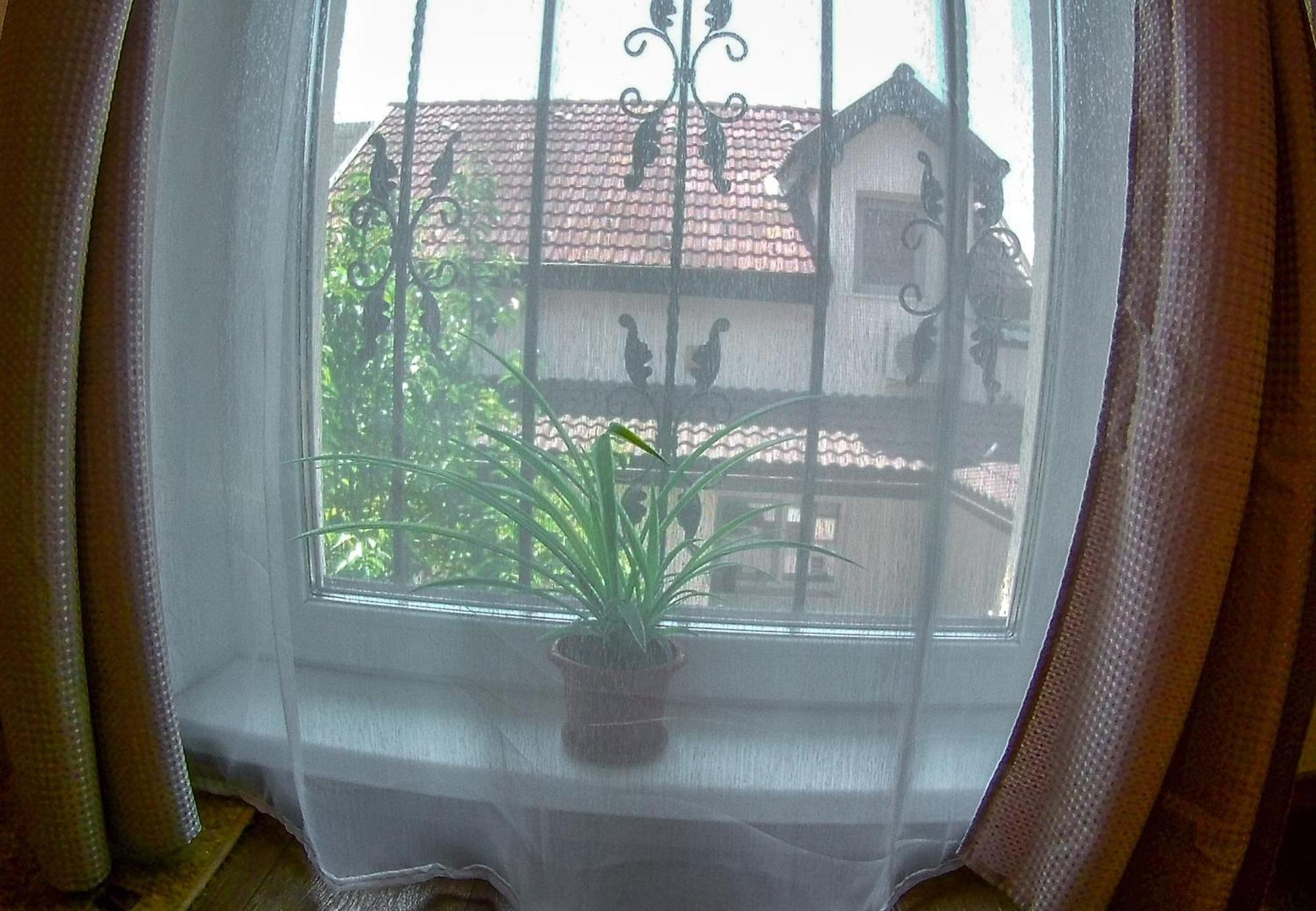 Nice & Cozy Apartments ティミショアラ 部屋 写真